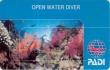 Курс Open Water Diver  (Полный начальный курс подводного плавания)