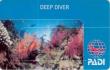 Курс PADI Deep Diver (Глубоководные погружения)