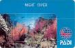 Курс PADI Night Diver (Ночные погружения)