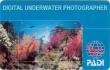 Курс PADI Underwater Photographer  (Подводный фотограф)