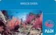 Курс PADI Wreck Diver   (Погружения на затонувшие объекты)